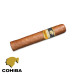 Charuto Cohiba robustos jardins São Paulo