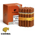 Charuto Cohiba siglo VI jardins São Paulo