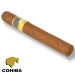Charuto Cohiba siglo VI jardins São Paulo